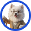 Bodhii Avatar
